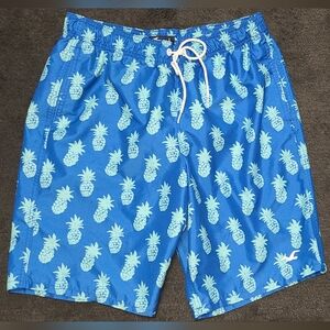 Hollister‎ large swim trunks 🍍pineapples LARGE